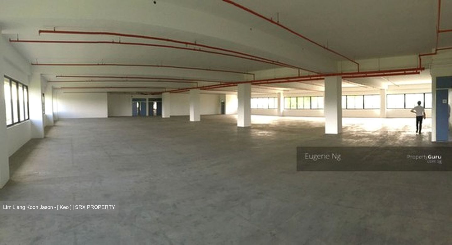 Loyang Industrial Estate (D17), Factory #301125231